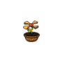 potted_baconweed.png