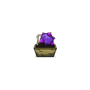 potted_bumpberry.png