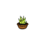 potted_kibweed.png