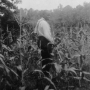 alabama-slave-narratives-image174green.jpg