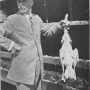 harry-m-lamon-ducks-and-geese-fig47.jpg