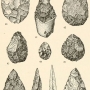 henry-osborn-men-of-the-old-stone-age-fig085.jpg