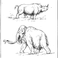henry-osborn-men-of-the-old-stone-age-fig095.jpg