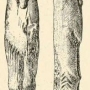 henry-osborn-men-of-the-old-stone-age-fig245.jpg