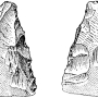 henry-osborn-men-of-the-old-stone-age-fig264.jpg