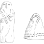 hm-wormington-prehistoric-indians-southwest-p18.jpg