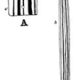 thomas-morgan-regeneration-i_013_sml.jpg