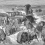 william-hornaday-extermination-american-bison-004.jpg
