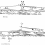 william-kellicott-social-direction-of-human-evolution-fig16.png