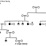 william-kellicott-social-direction-of-human-evolution-fig25.png