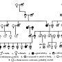 william-kellicott-social-direction-of-human-evolution-fig26.png