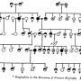 william-kellicott-social-direction-of-human-evolution-fig27.png