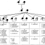 william-kellicott-social-direction-of-human-evolution-fig29.png