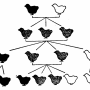 william-kellicott-social-direction-of-human-evolution-fig7.png