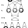 william-kellicott-social-direction-of-human-evolution-fig9.png