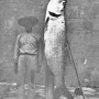 zane-grey-tales-of-fishes-illus021.jpg