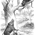 henry-stanley-my-dark-companions-and-their-strange-stories-mdcom255.jpg