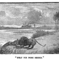 henry-stanley-my-dark-companions-and-their-strange-stories-mdcom263.jpg