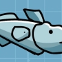 antarctic-icefish.jpg
