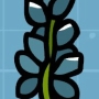 antirrhinum.jpg