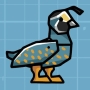 argus-bird.jpg