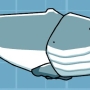 baleen-whale.jpg