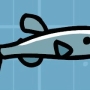 beaked-salmon.jpg