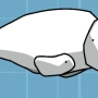 beluga-whale.jpg