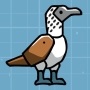 blue-footed-booby.jpg