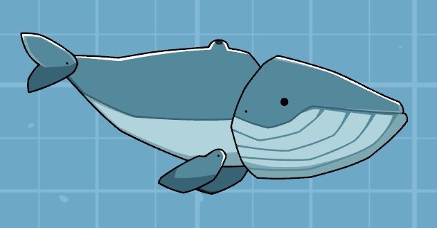 blue-whale.jpg