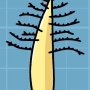 boojum-tree.jpg