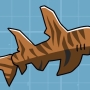 bullhead-shark.jpg