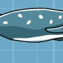 beaked-whale.jpg