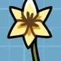 belladonna-lily.jpg