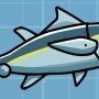 coalfish.jpg