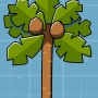 coconut-palm-tree.jpg