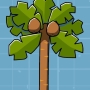 coconut-tree.jpg