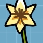 crocus.jpg