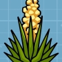 cycad.jpg