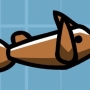 darter-fish.jpg