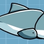 false-killer-whale.jpg