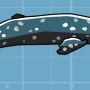 gray-whale.jpg