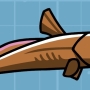 grenadier-fish.jpg