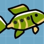 hawkfish.jpg