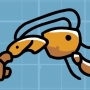 hermit-crab.jpg