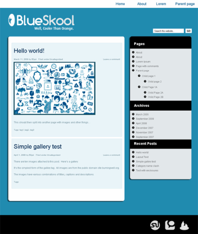 BlueSkool WordPress Theme