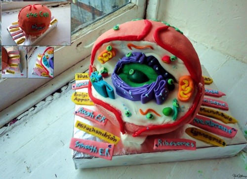 Cell Cake