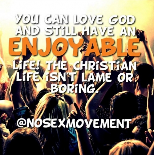 NoSexMovement Image