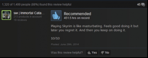 Best Skyrim Review