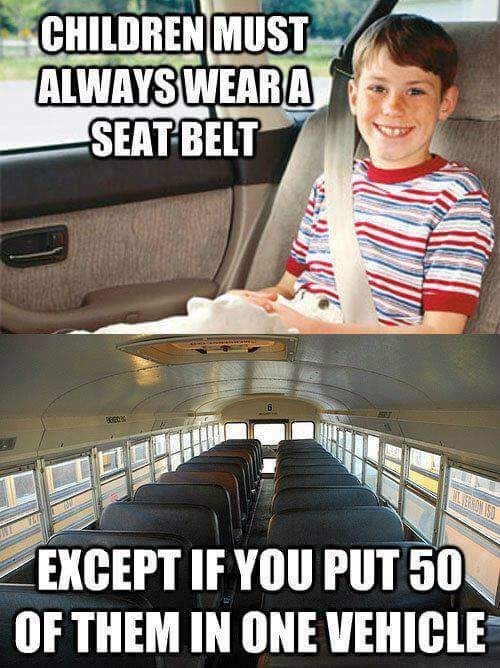 Seat Belts on Buses